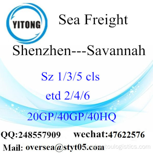 Shenzhen Puerto marítimo de carga de envío a Savannah